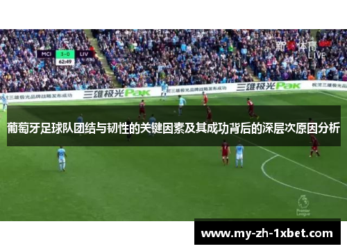 葡萄牙足球队团结与韧性的关键因素及其成功背后的深层次原因分析