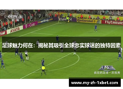 足球魅力何在：揭秘其吸引全球忠实球迷的独特因素