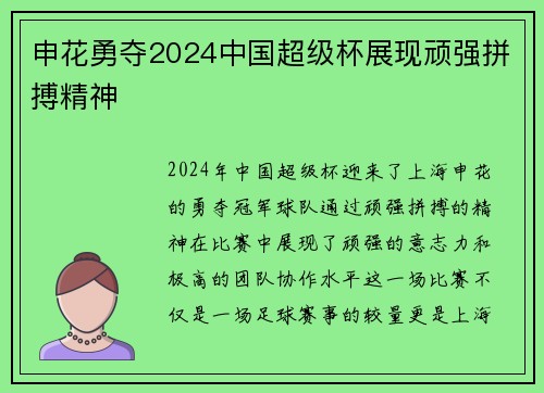 申花勇夺2024中国超级杯展现顽强拼搏精神 申花勇夺2024中国超级杯展现顽强拼搏精神